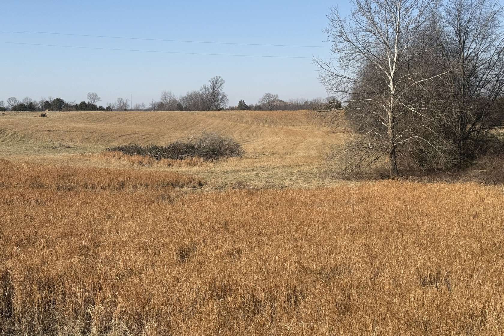 3.44 Acres of Land for Sale in Franklin, Kentucky