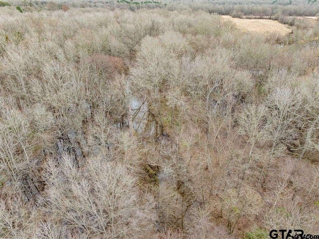 24.1 Acres of Recreational Land for Sale in Pittsburg, Texas
