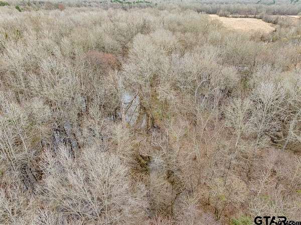 24.1 Acres of Recreational Land for Sale in Pittsburg, Texas