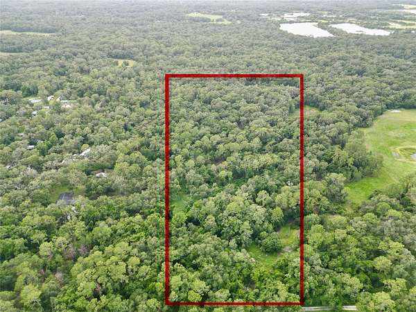 20 Acres of Recreational & Residential Land for Sale in Webster, Florida