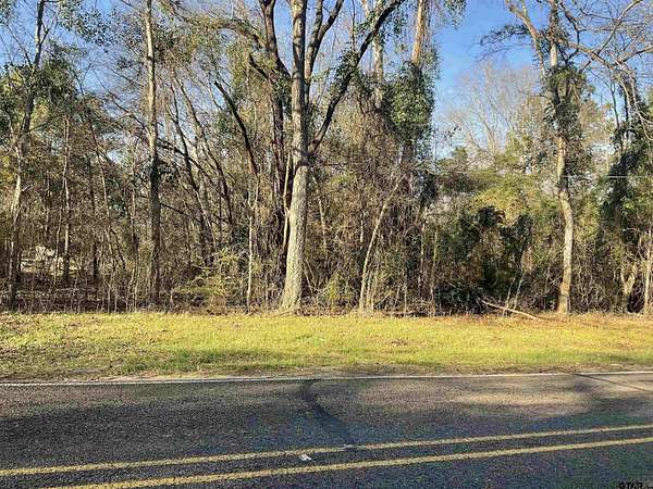 10.6 Acres of Land for Sale in Overton, Texas
