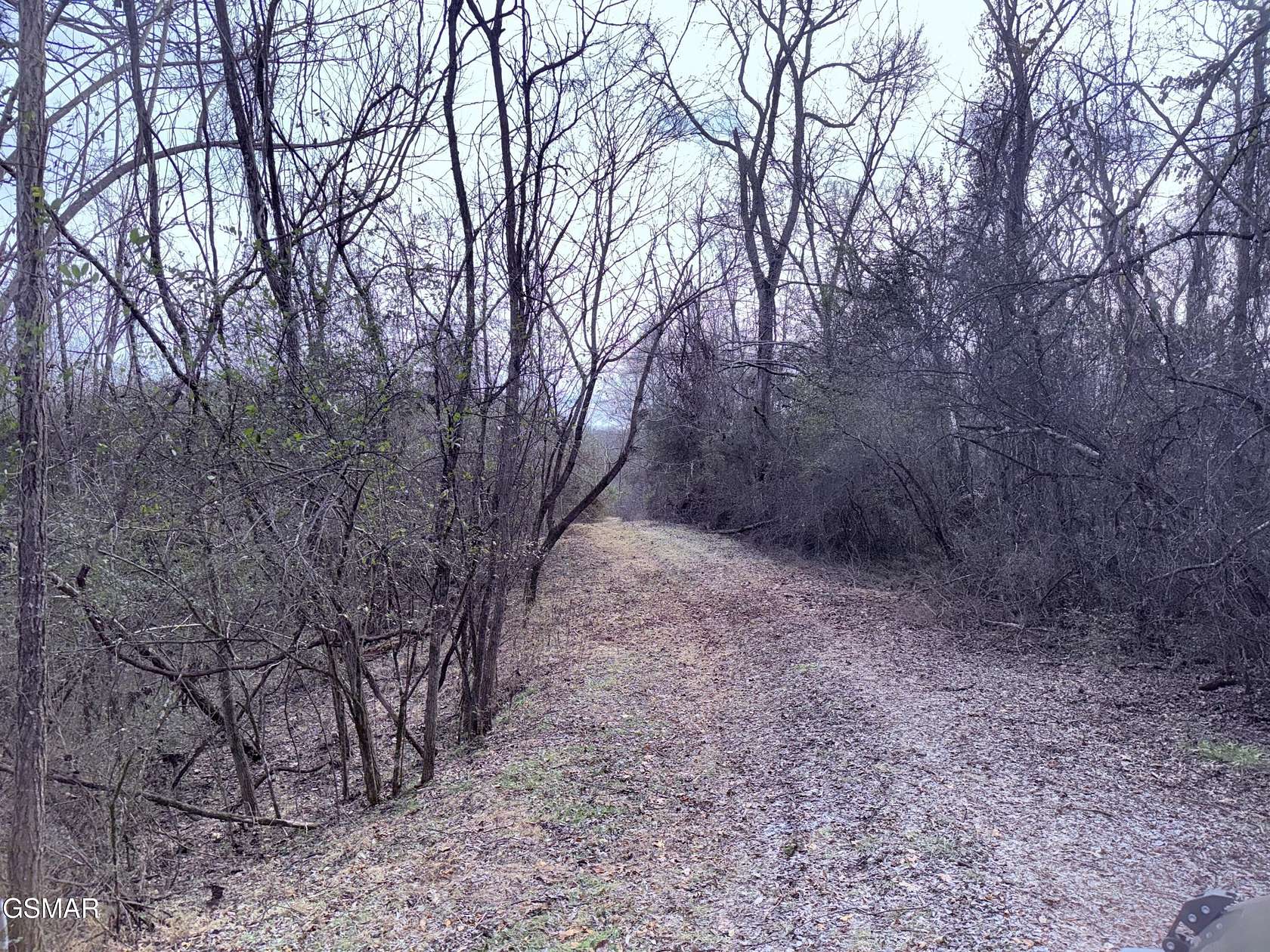 7.78 Acres of Residential Land for Sale in Newport, Tennessee