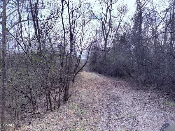 7.78 Acres of Residential Land for Sale in Newport, Tennessee