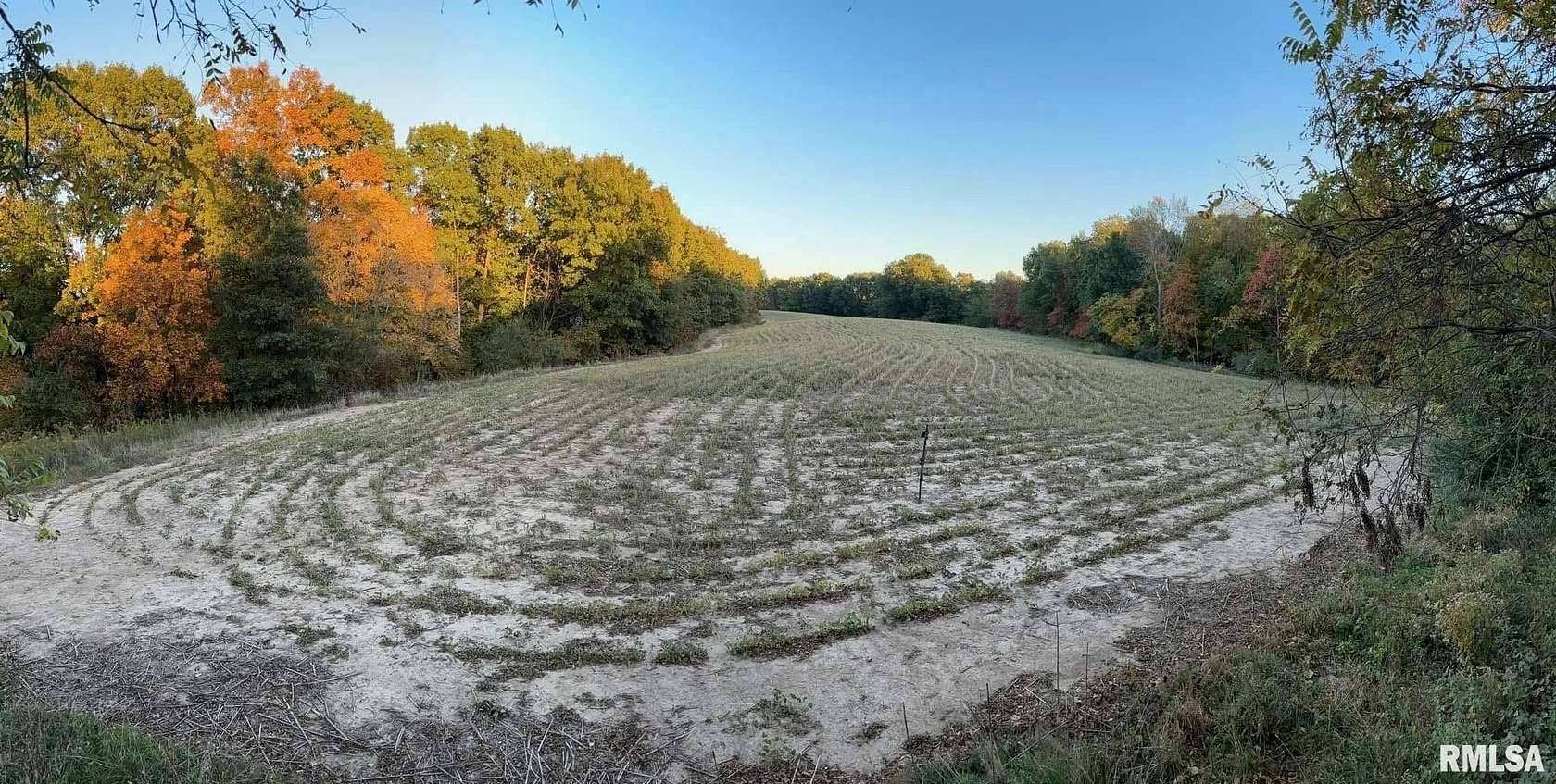 40.3 Acres of Land for Sale in Smithfield, Illinois