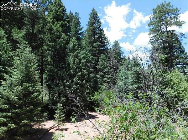 3.89 Acres of Land for Sale in Larkspur, Colorado