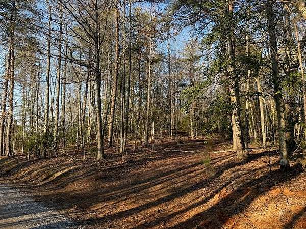 1.22 Acres of Land for Sale in Warne, North Carolina