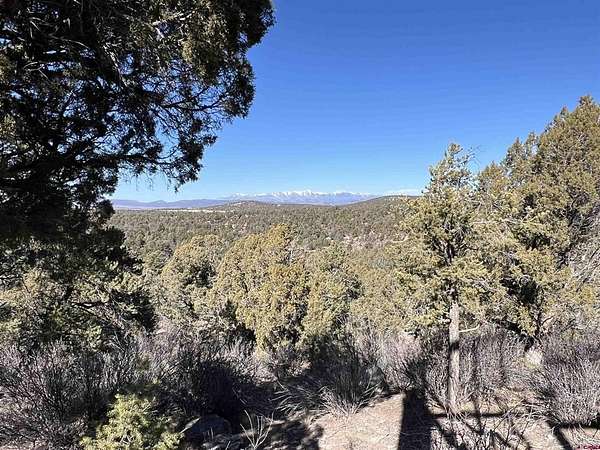 40 Acres of Recreational Land for Sale in Ignacio, Colorado