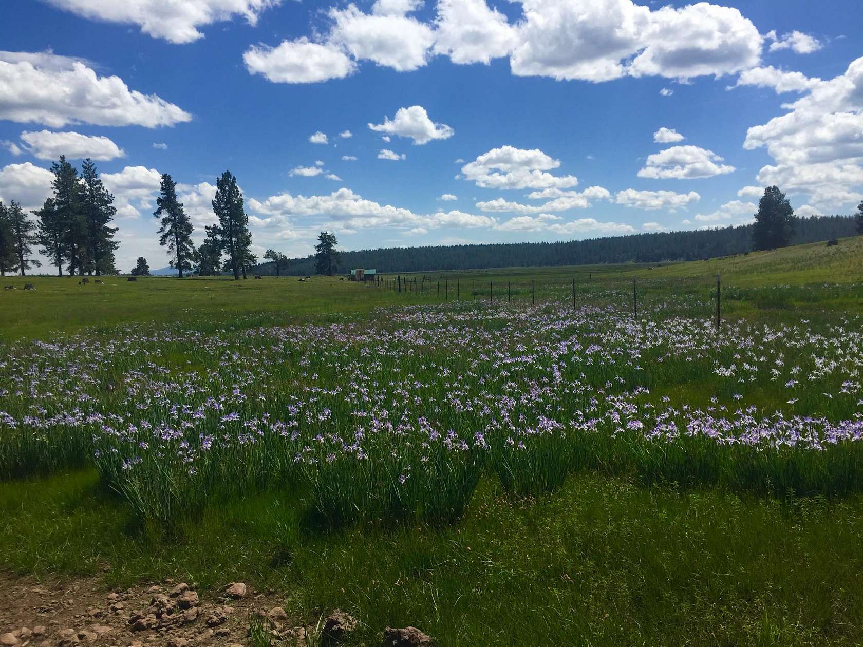 800 Acres of Land for Sale in Chiloquin, Oregon
