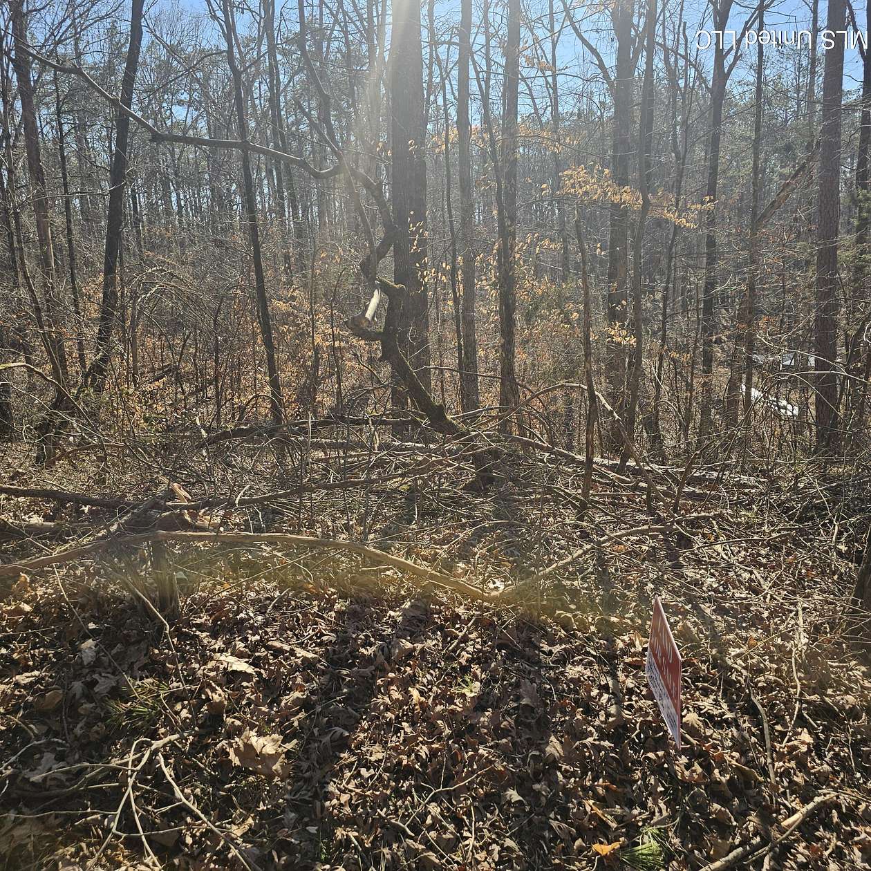 0.5 Acres of Residential Land for Sale in Myrtle, Mississippi