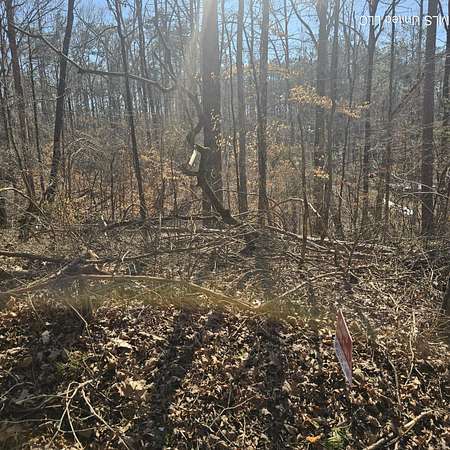 0.5 Acres of Residential Land for Sale in Myrtle, Mississippi