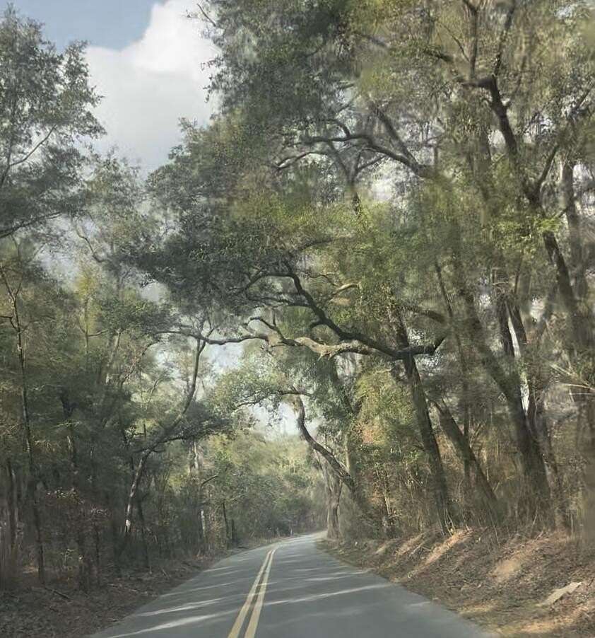 5 Acres of Residential Land for Sale in Chipley, Florida