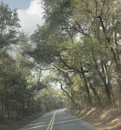 5 Acres of Residential Land for Sale in Chipley, Florida