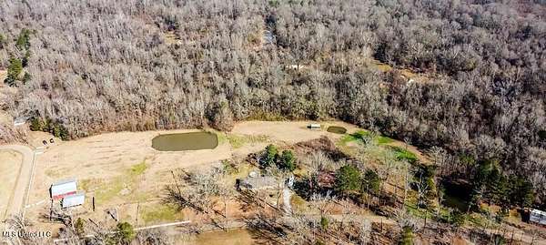 42 Acres of Land for Sale in Pearl, Mississippi