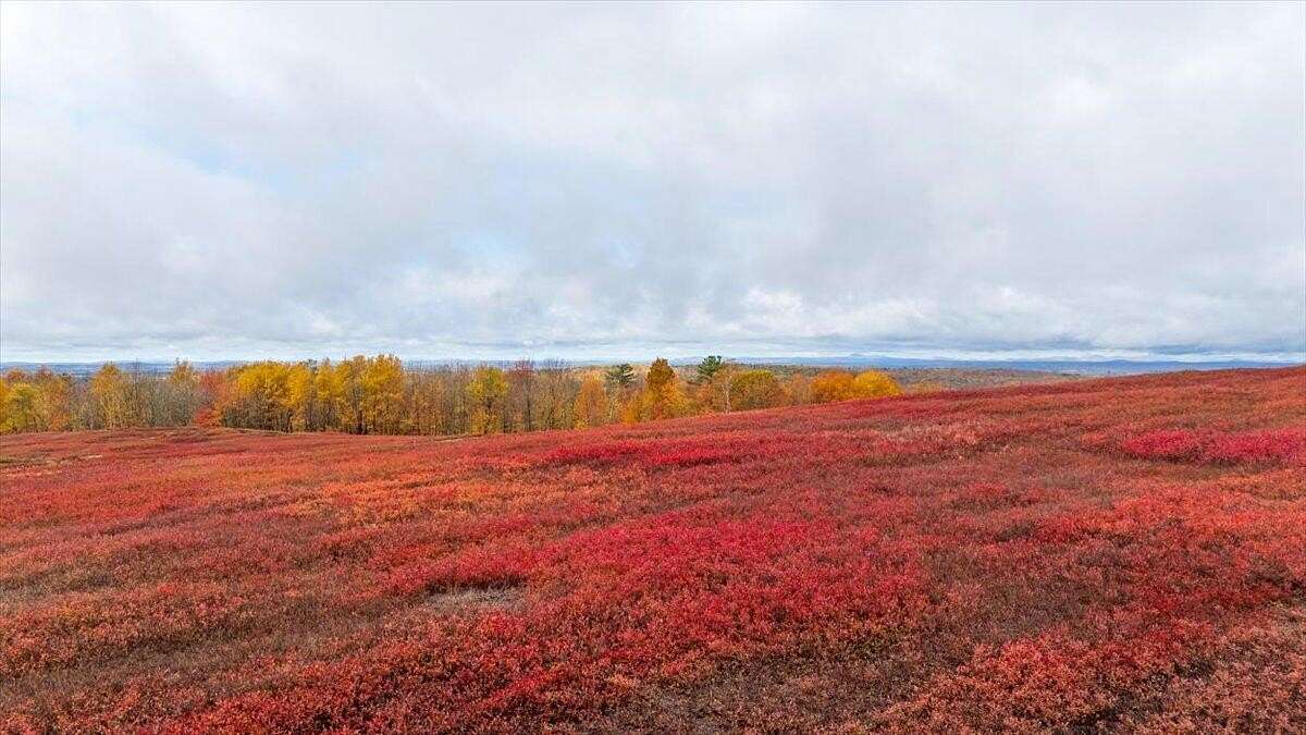 194 Acres of Land for Sale in Palermo, Maine