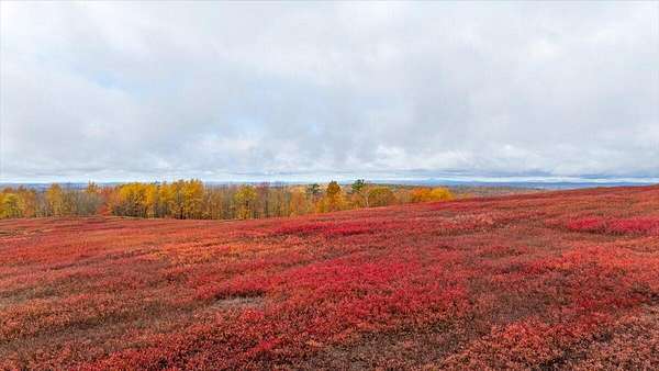 194 Acres of Land for Sale in Palermo, Maine