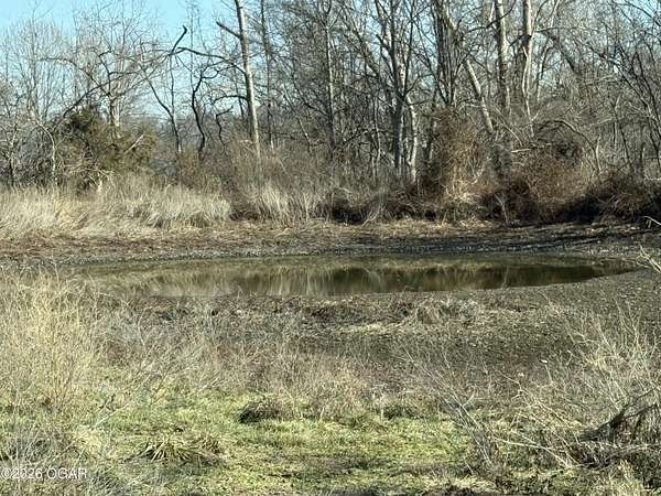 71 Acres of Land for Sale in Stark City, Missouri