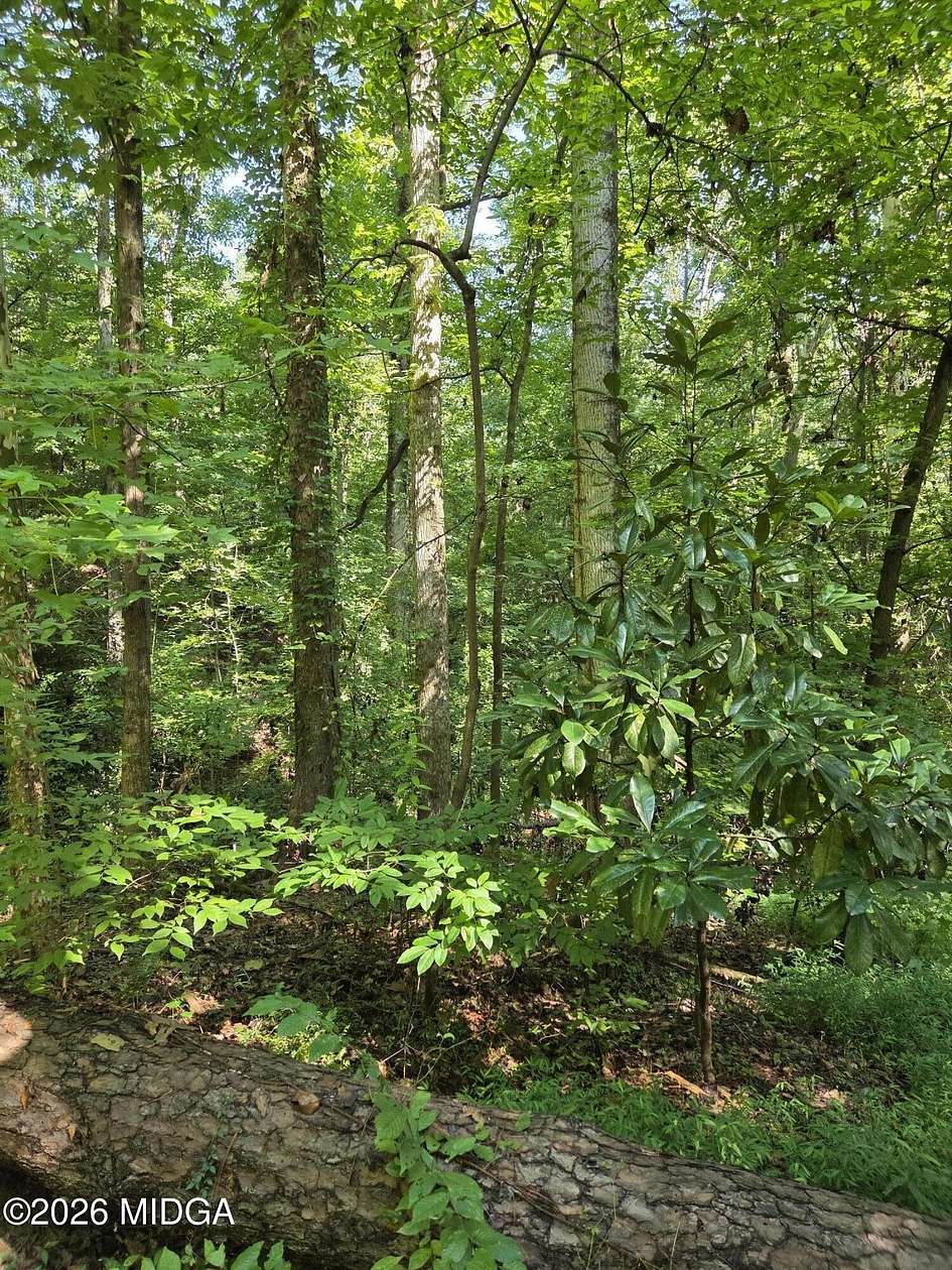 0.42 Acres of Residential Land for Sale in Macon, Georgia