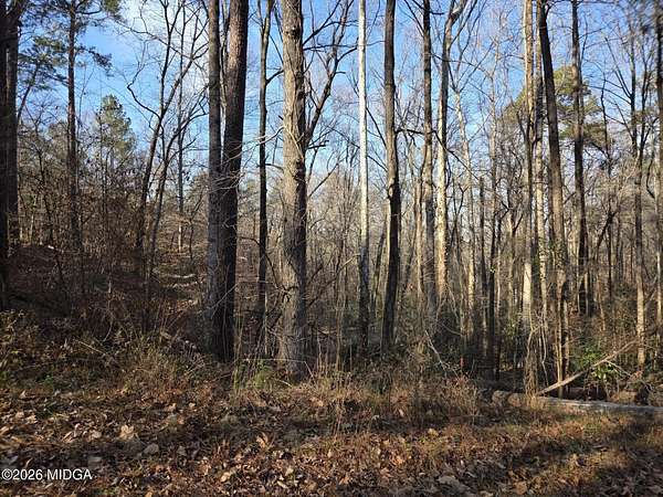 0.42 Acres of Land for Sale in Macon, Georgia