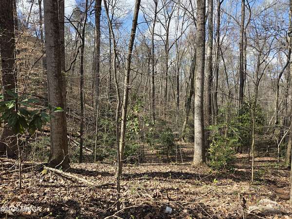0.42 Acres of Residential Land for Sale in Macon, Georgia