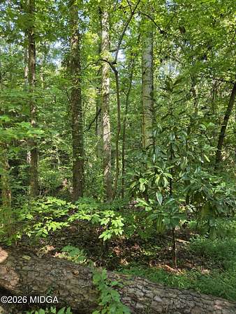 0.42 Acres of Residential Land for Sale in Macon, Georgia