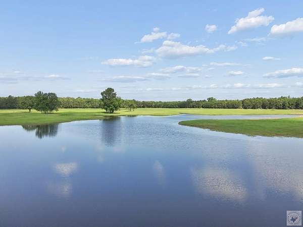 81.8 Acres of Land for Sale in New Boston, Texas