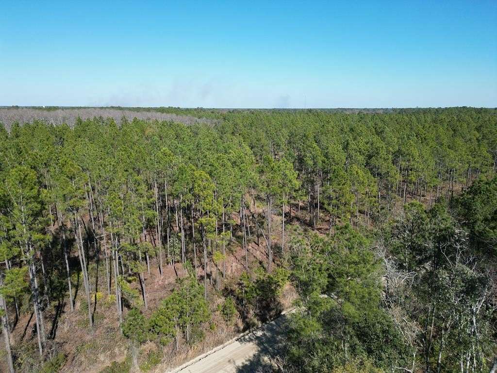 84.2 Acres of Land for Sale in Valdosta, Georgia