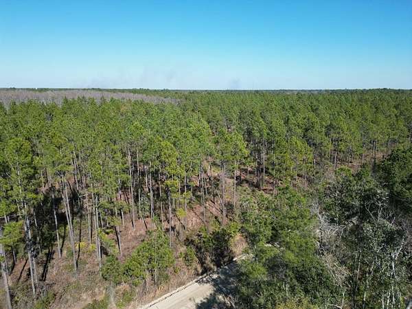 84.2 Acres of Land for Sale in Valdosta, Georgia