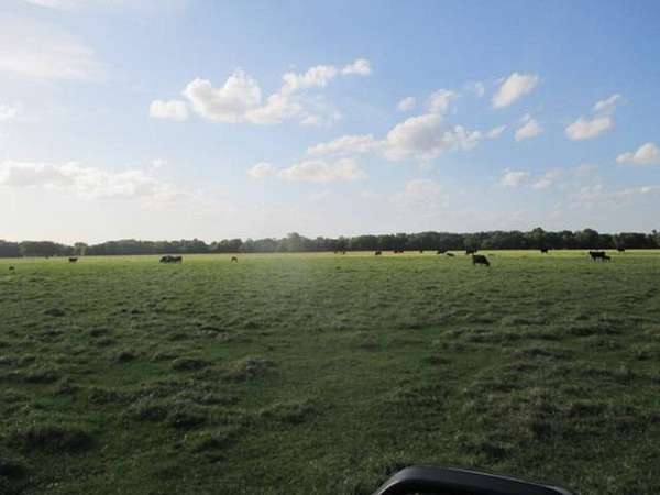 50 Acres of Land for Sale in Okeechobee, Florida