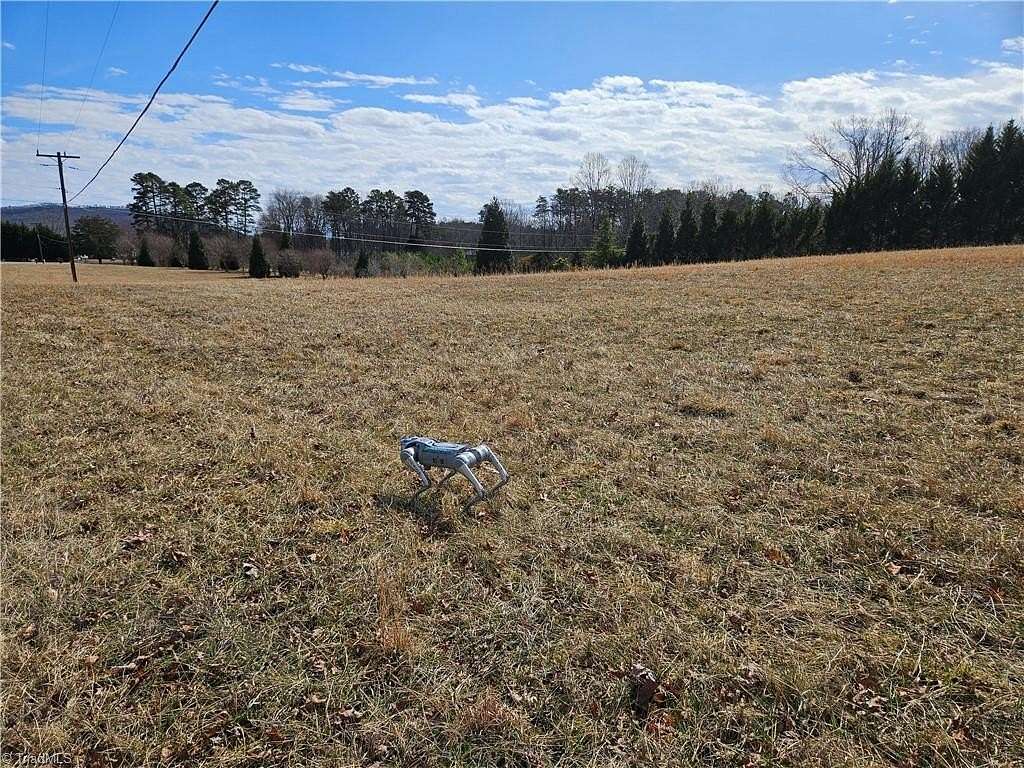 9.75 Acres of Land for Sale in Dobson Township, North Carolina