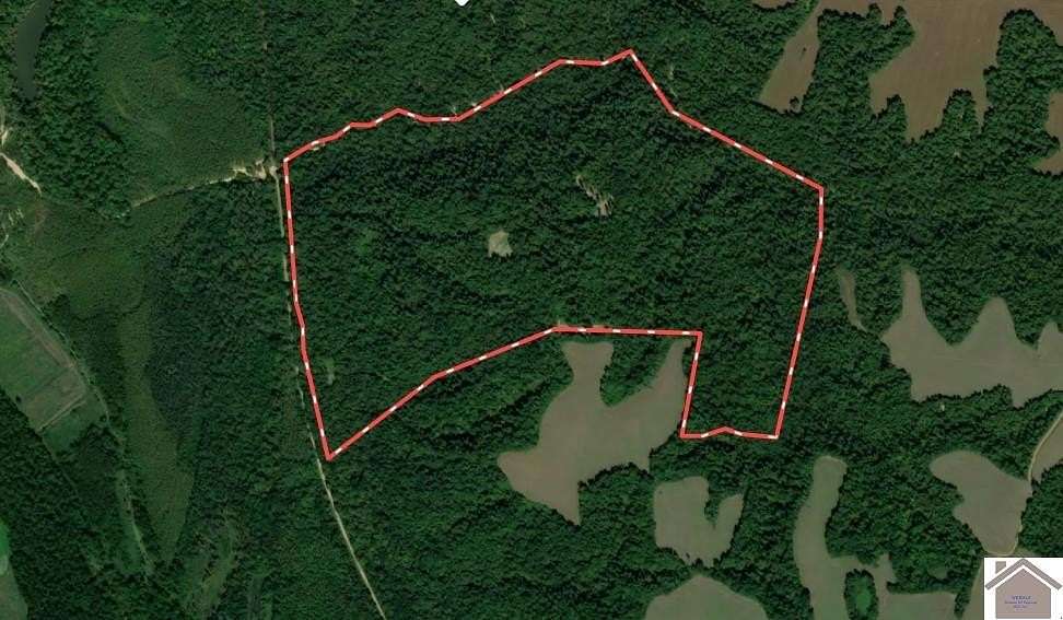 187 Acres of Recreational Land for Sale in Bardwell, Kentucky