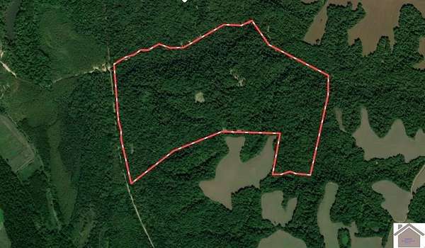 187 Acres of Recreational Land for Sale in Bardwell, Kentucky