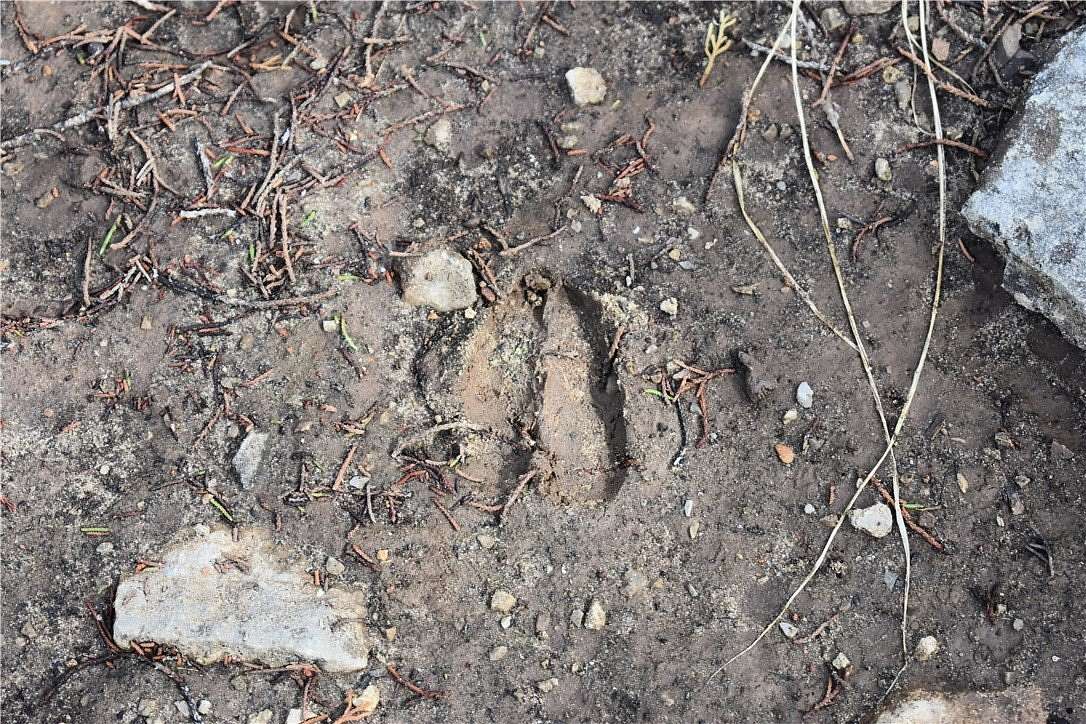 80 Acres of Recreational Land for Sale in Flippin, Arkansas