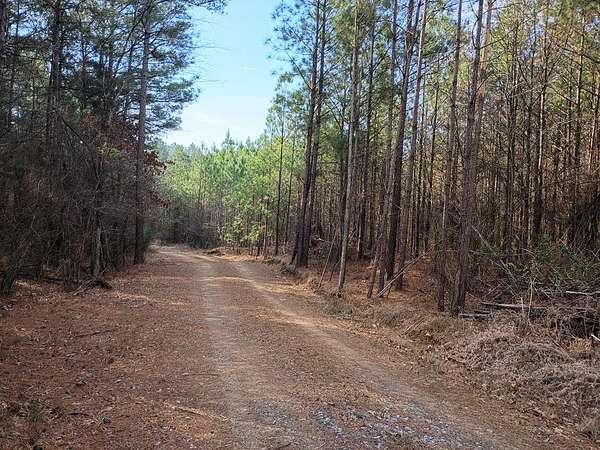 50 Acres of Recreational Land for Sale in Chatsworth, Georgia