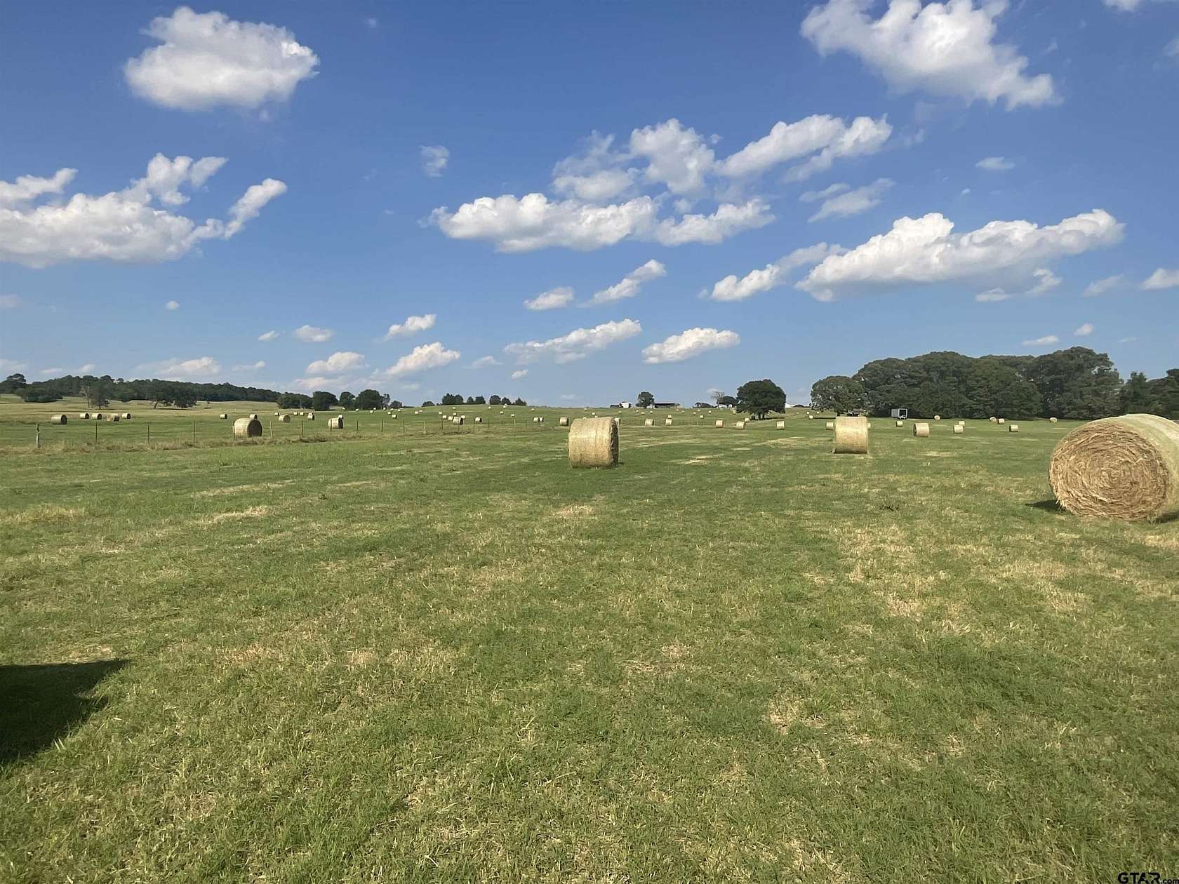 20 Acres of Recreational Land for Sale in Bullard, Texas
