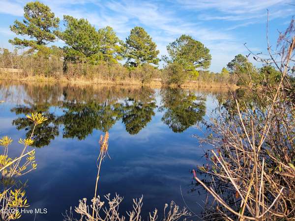 0.28 Acres of Residential Land for Sale in Harrells, North Carolina