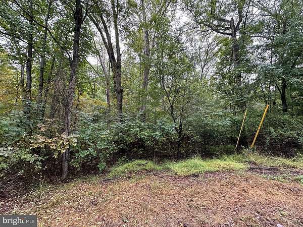 5 Acres of Residential Land for Sale in Winchester, Virginia