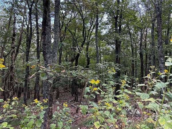 0.46 Acres of Residential Land for Sale in Jasper, Georgia