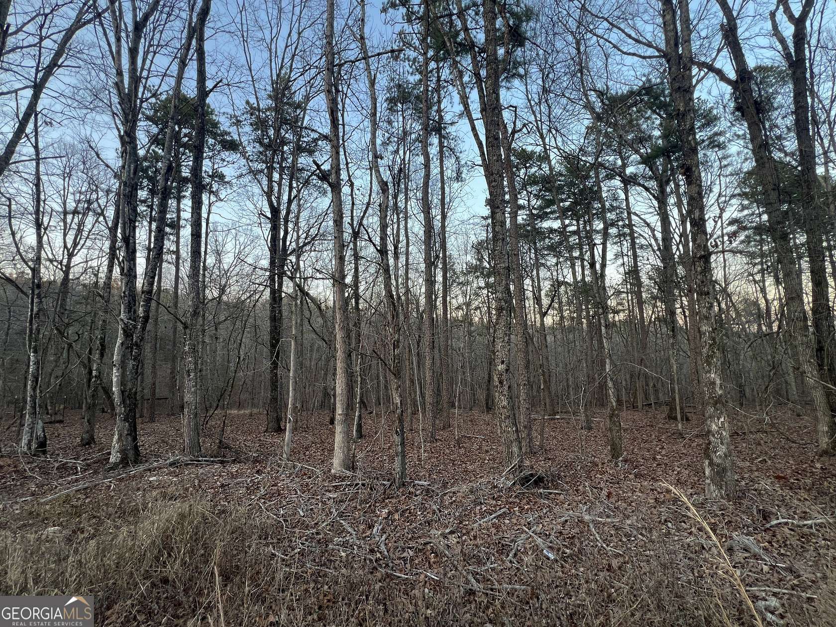 5 Acres of Residential Land for Sale in Rome, Georgia