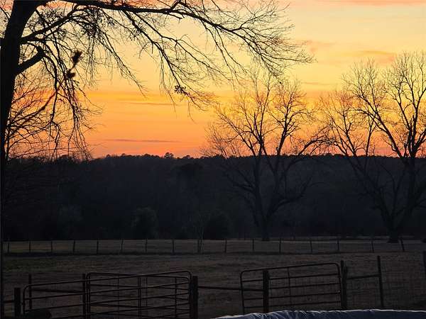 30 Acres of Improved Land for Sale in Arp, Texas