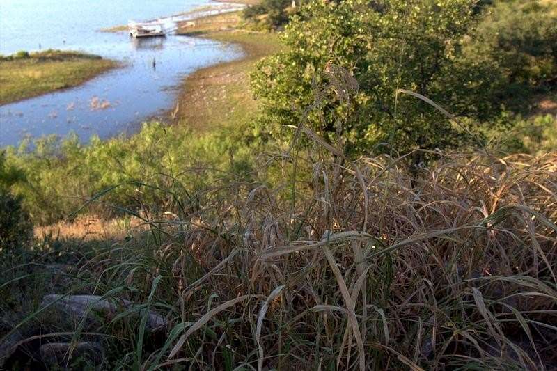 0.25 Acres of Residential Land for Sale in Brownwood, Texas