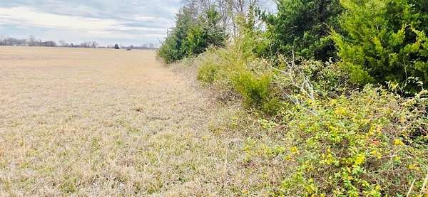 5 Acres of Land for Sale in Pattonville, Texas