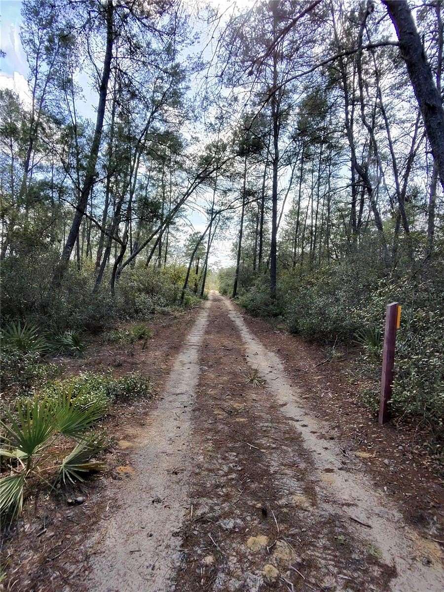 14.9 Acres of Recreational Land for Sale in Fort McCoy, Florida