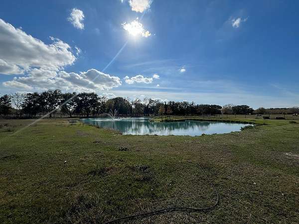 41.3 Acres of Land with Home for Sale in Wallis, Texas