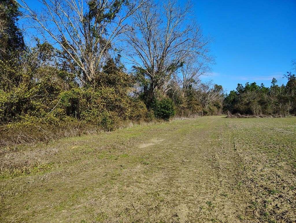 3 Acres of Residential Land for Sale in Cottonwood, Alabama