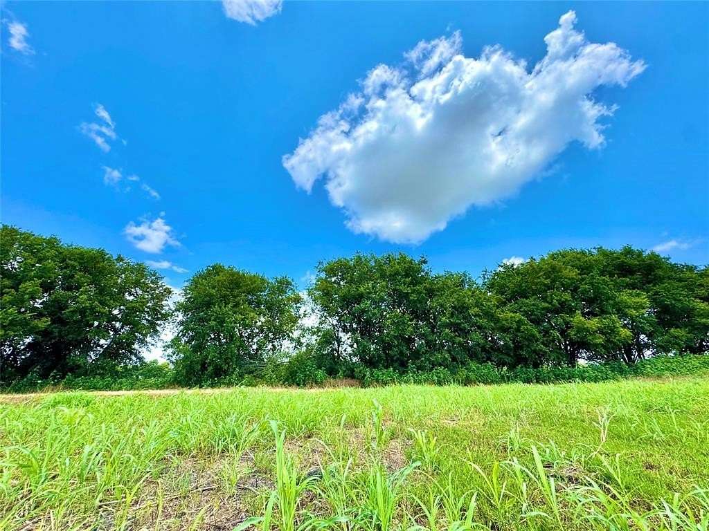 1.55 Acres of Residential Land for Sale in Nevada, Texas