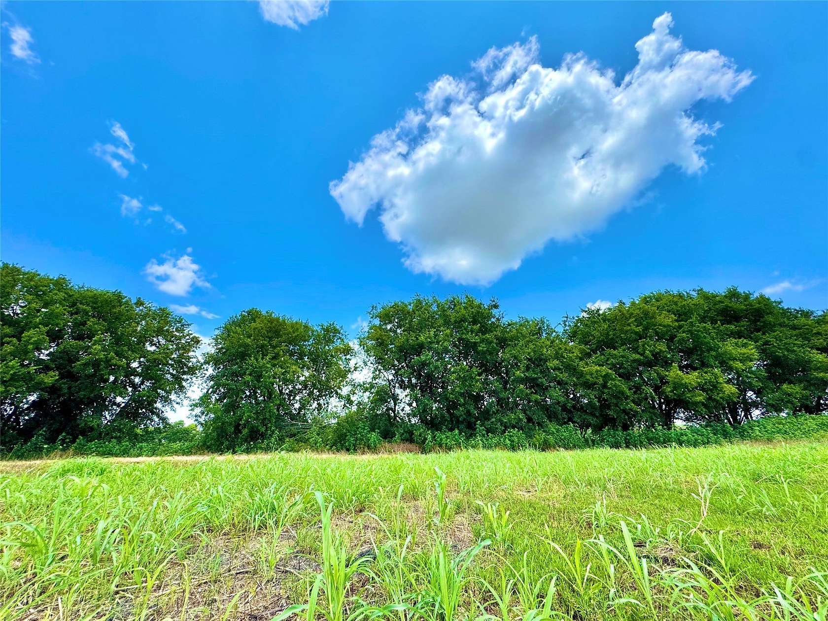 1.55 Acres of Residential Land for Sale in Nevada, Texas