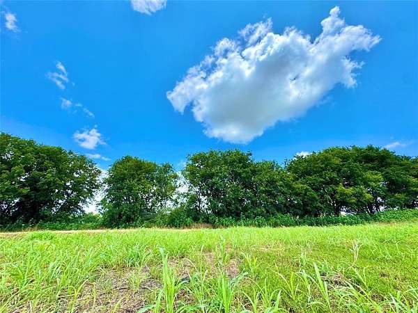 1.55 Acres of Residential Land for Sale in Nevada, Texas