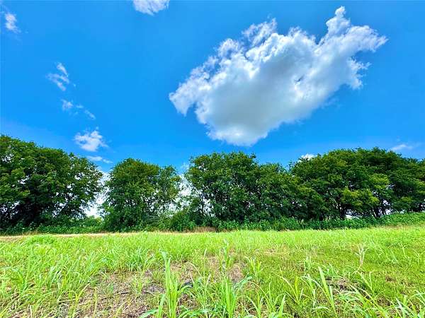 1.55 Acres of Residential Land for Sale in Nevada, Texas