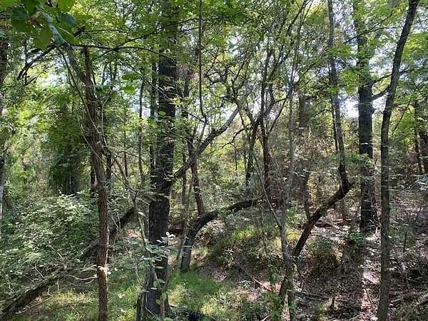 49.7 Acres of Recreational Land for Sale in Athens, Texas