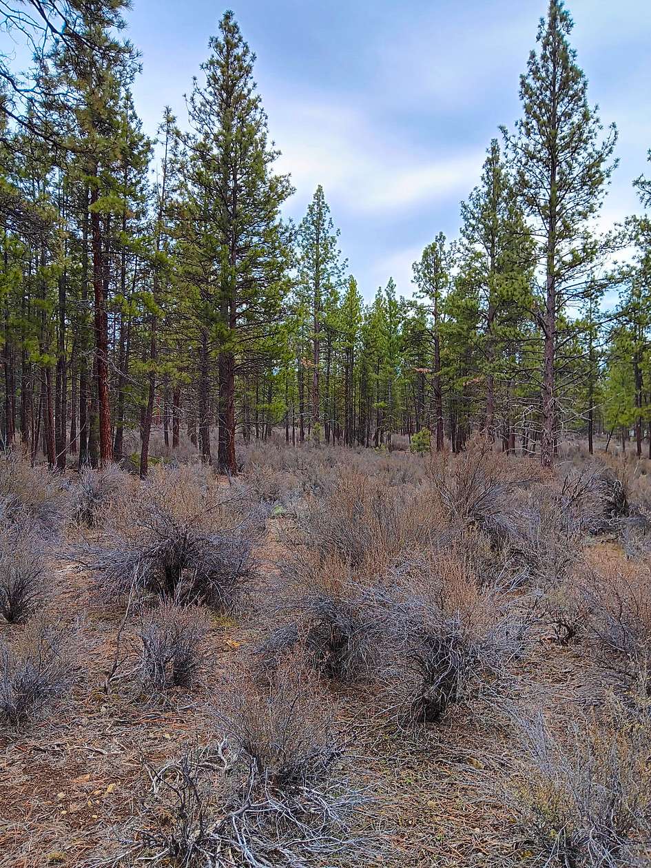 2.39 Acres of Residential Land for Sale in Chiloquin, Oregon